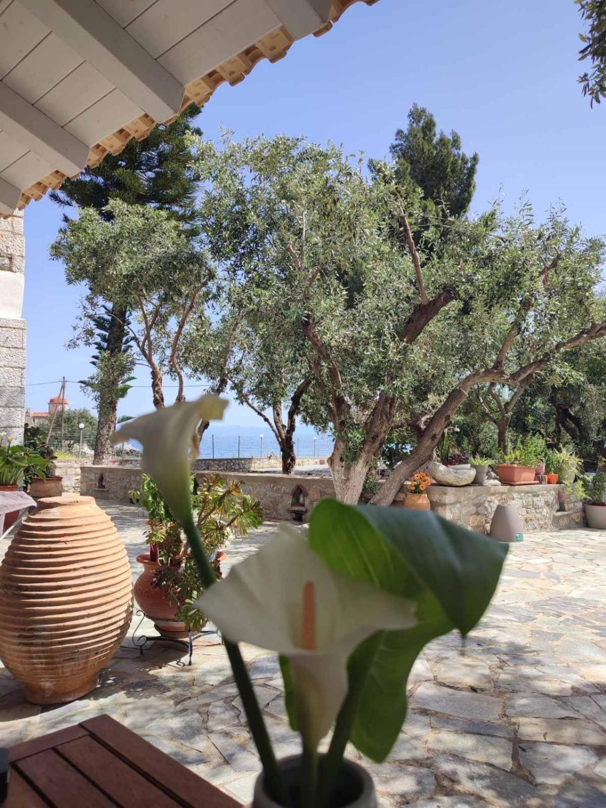 Ktima Zaxarias Hotel Kokkala Exterior photo